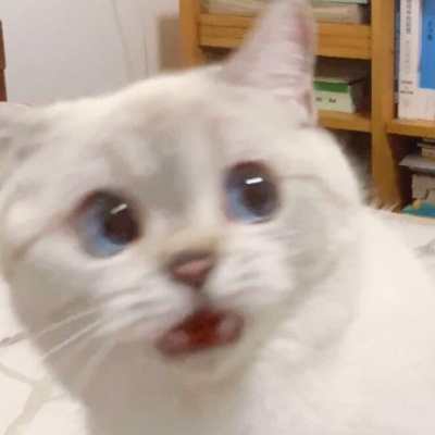 爱你是习惯